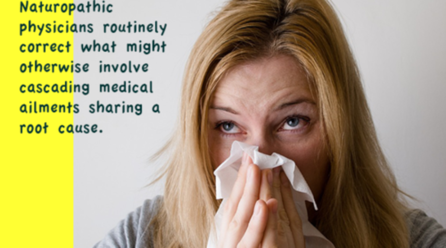 Allergy Alleviation! The Holistic Approach