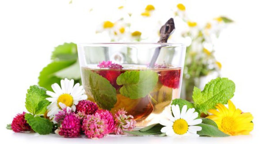 The Bible Condemnation of Drugs