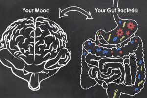 Is your Gut Healthy?