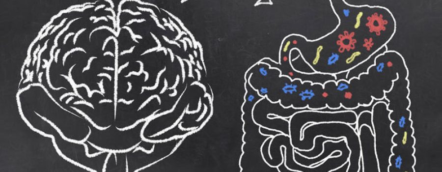 Is your Gut Healthy?