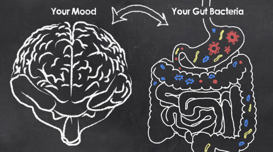 Is your Gut Healthy?