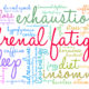 Adrenal Fatigue